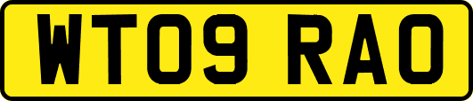 WT09RAO