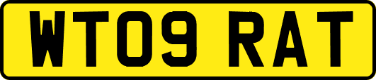 WT09RAT