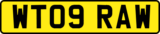 WT09RAW