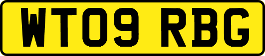 WT09RBG