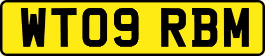 WT09RBM