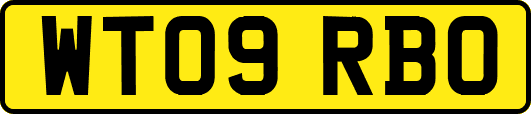 WT09RBO