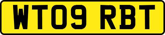WT09RBT