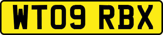 WT09RBX