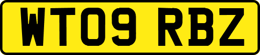WT09RBZ