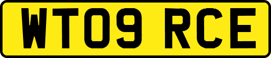WT09RCE