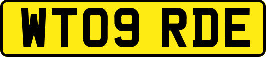 WT09RDE