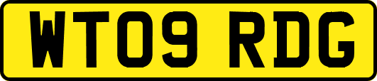 WT09RDG