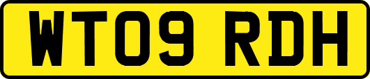 WT09RDH