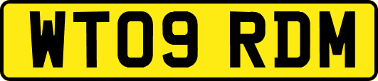 WT09RDM