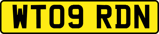 WT09RDN