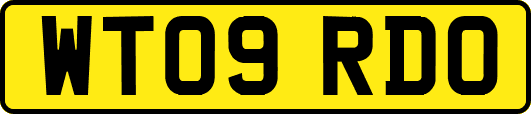 WT09RDO