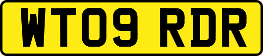 WT09RDR