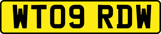 WT09RDW