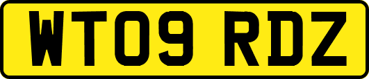 WT09RDZ