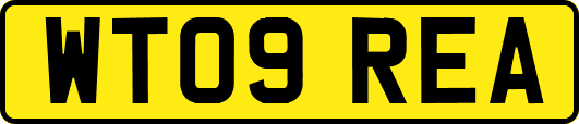 WT09REA