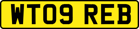 WT09REB
