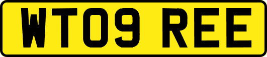 WT09REE
