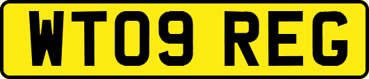 WT09REG
