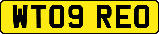 WT09REO