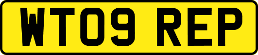 WT09REP
