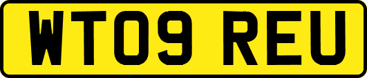 WT09REU