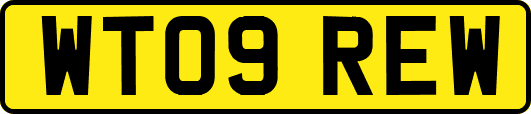 WT09REW