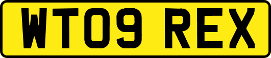 WT09REX