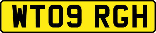 WT09RGH