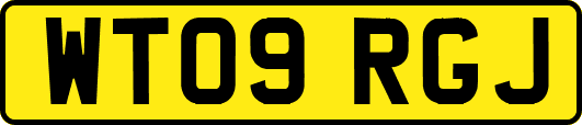 WT09RGJ