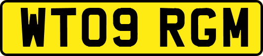 WT09RGM