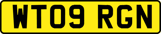 WT09RGN
