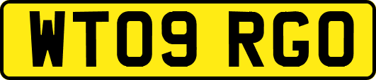 WT09RGO