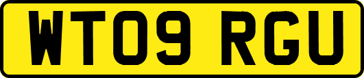 WT09RGU