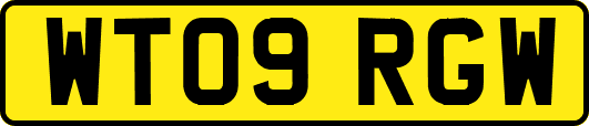 WT09RGW