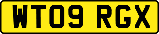 WT09RGX