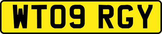 WT09RGY