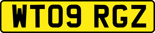 WT09RGZ