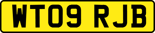 WT09RJB