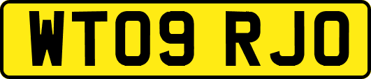 WT09RJO