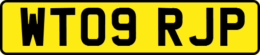 WT09RJP