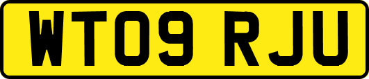 WT09RJU