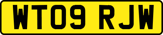 WT09RJW