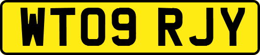WT09RJY
