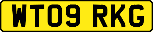 WT09RKG