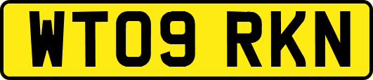 WT09RKN