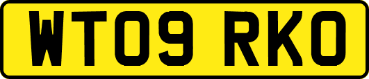 WT09RKO