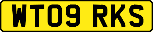WT09RKS