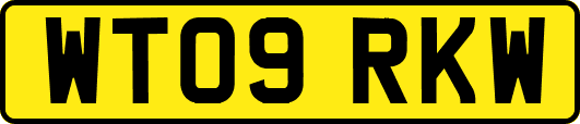 WT09RKW