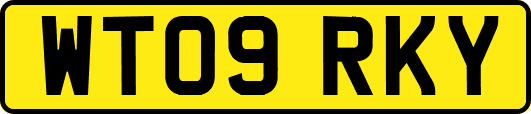WT09RKY